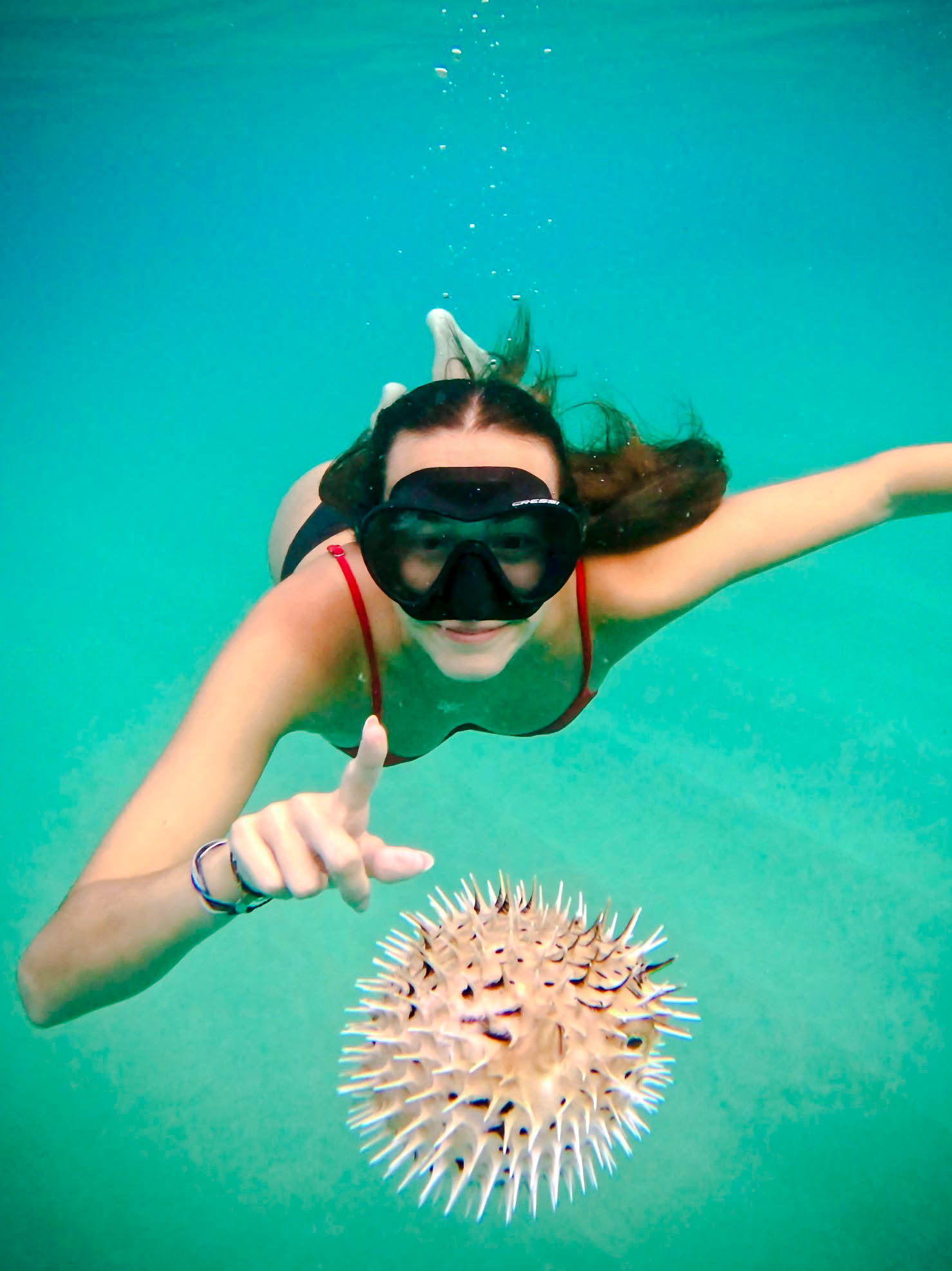 cabo-san-lucas-attractions-rogers-glass-bottom-boat-seabreeze-cabo-adventures.activities (19)