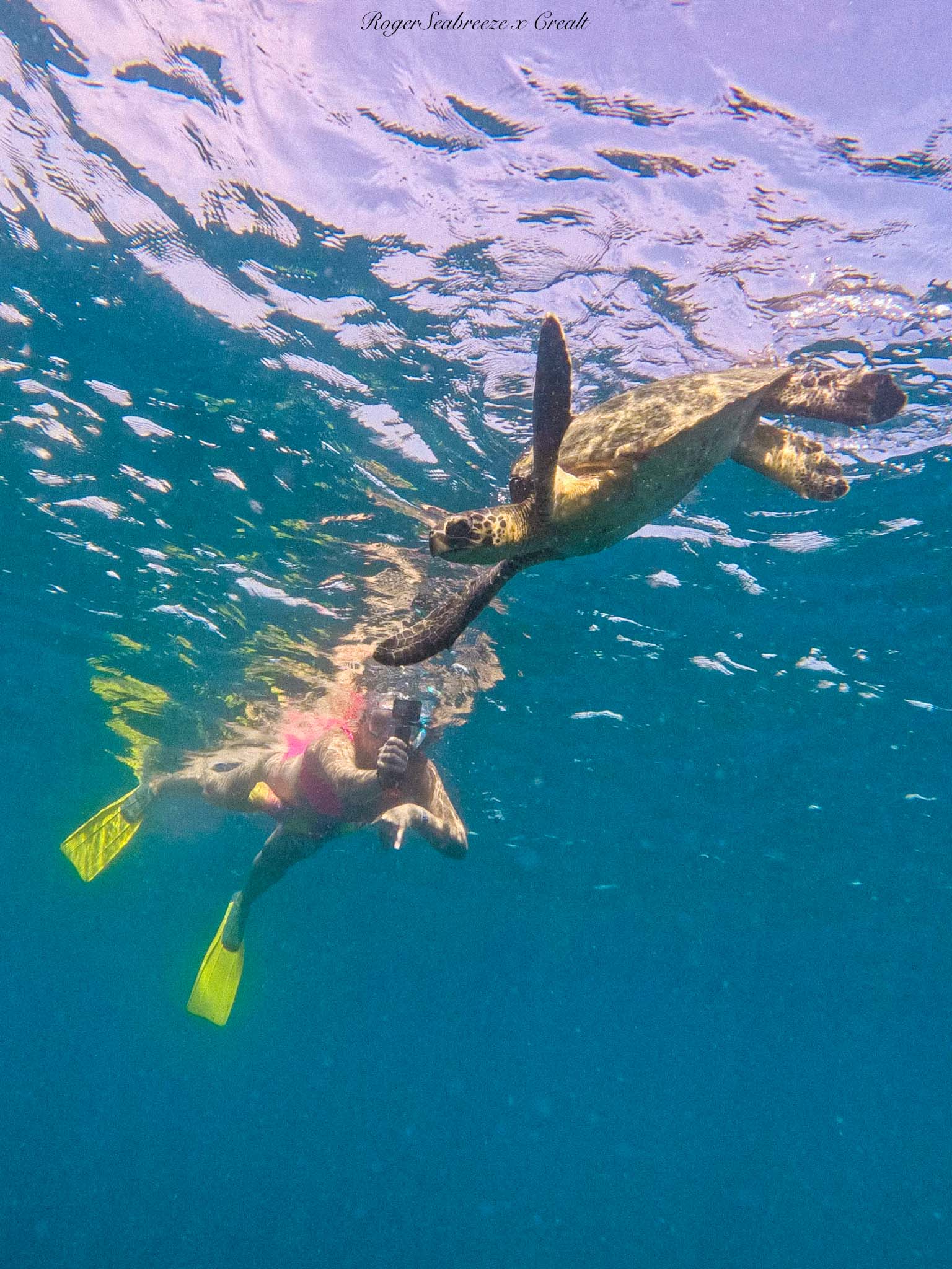 roger-seabreeze-boat-rental-cabo-private-tours-snorkeling-whale-watching-13